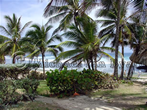 Barbados Beach Idyl